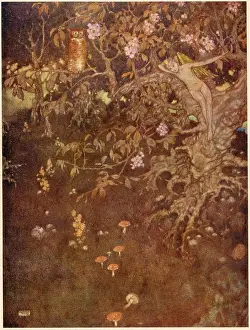 Ariel: The Tempest