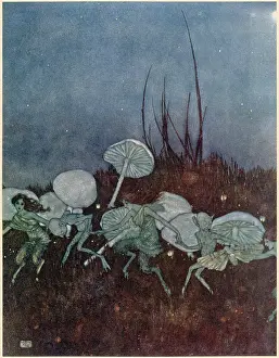Ringlets: The Tempest
