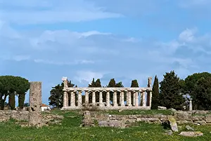 Shaft: Temple of Athena. Paestum
