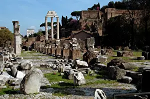 Jupiter: Temple of Castor and Pollux. Rome. Italy