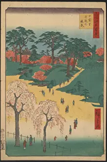 Sightseers: Temple Gardens, Nippori