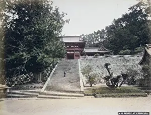 Leash: Temple at Kamakura