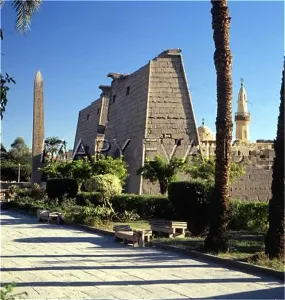 Haggag: TEMPLE OF LUXOR