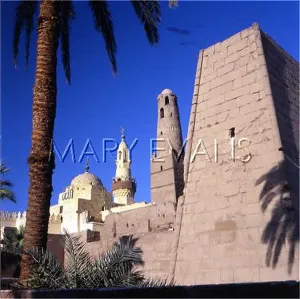 Haggag: TEMPLE OF LUXOR