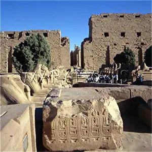 Sphinxes: TEMPLE OF LUXOR