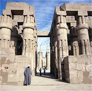 Bundled: TEMPLE OF LUXOR