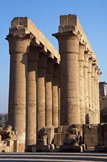 Rows: Temple of Luxor. Colonnade with two rows of seven smooth sha