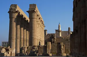 Rows: Temple of Luxor. Colonnade with two rows of seven smooth sha