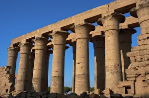 Rows: Temple of Luxor. Colonnade with two rows of seven smooth sha