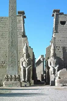 Columned: TEMPLE OF LUXOR/EGYPT