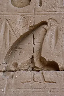 Vulture: Temple of Ramses III. Vulture