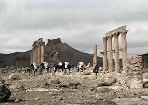 Barnaby (colourised): TEMPLE RUINS, PALMYRA