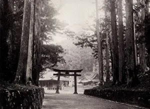 Nikko: Temple and torii at Nikko, Japan