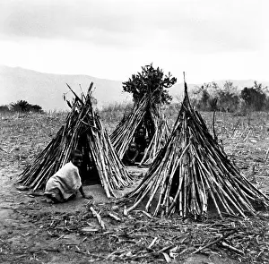 Limpopo: Temporary shelters made by young Lobedu boys in the fields