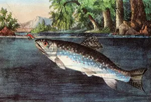 Bait: Tempted