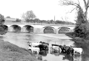 Teme: Tenbury Wells, Teme Bridge 1898