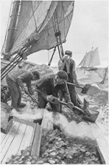 Harvested: Tending Oyster Beds