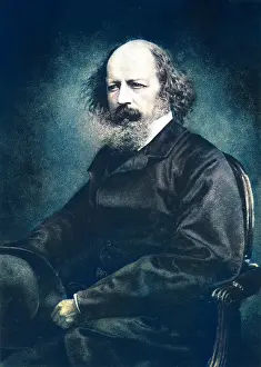 Maclure: Tennyson Maclure