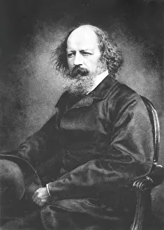 Maclure: Tennyson Maclure