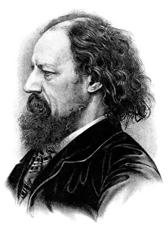 Tennyson: Tennyson profile