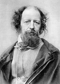 Stereoscopic: Tennyson Stereoscopic