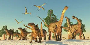 Azhdarchidae: Tenontosaurus and Argentinosaurus dinosaurs migrating in ?
