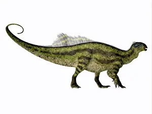 Spiked: Tenontosaurus dinosaur, side view