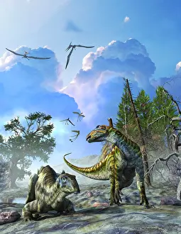 Tenontosaurus dinosaurs during the middle Cretaceous