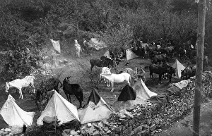 Sinkhole: Tent camp of a supply unit, 1916
