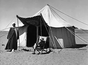 Dragoman: Tent in Egypt, 1930