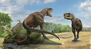 Defending: A Teratophoneus dinosaur defends its prey from another ?