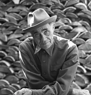 Academician: Terenty Maltsev, 1982
