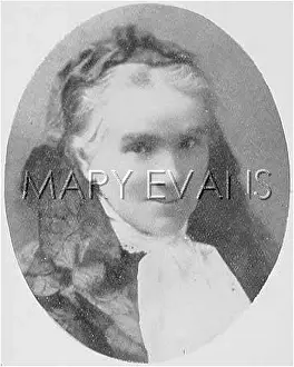 Impish: TERESA HELENA HIGGINSON