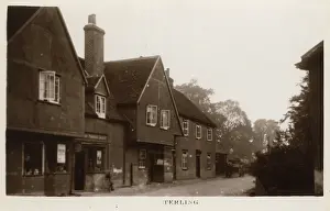 Terling: Terling, Essex