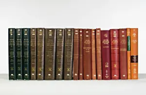 Spines: Terra Nova reports