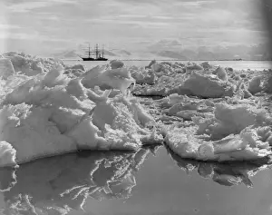 Whaling: Terra Nova, Robert Falcon Scott's Exploration Ship