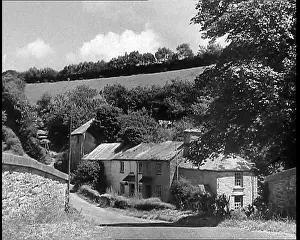 Backed: A Terrace of Small Cottages Backed by Trees