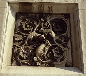 Rattus: Detail of a terracotta panel at the Natural History Museum