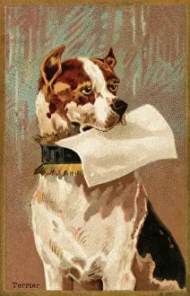 Invites: Terrier holding blank paper