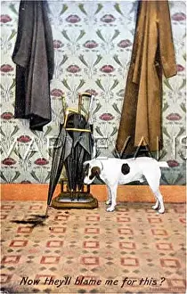 Theyll: TERRIER AND PUDDLE