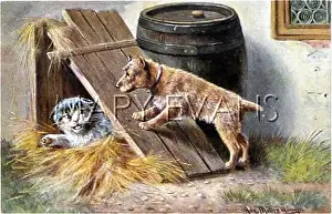 Hissing: TERRIER TORMENTS CAT