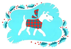 Arrobus: Terrier wearing a checked jacket