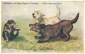 Geographia: Terriers