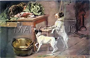 Behaving: TERRIERS AND CAT THIEF