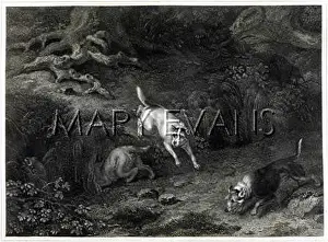 Reinagle: TERRIERS (REINAGLE)