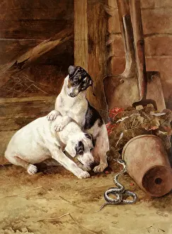 Potted: Two Terriers and Snake