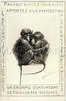 Vivisection: TERRIFIED MONKEYS