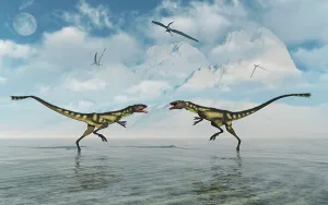 Threat: A territorial dispute between two Dilong dinosaurs