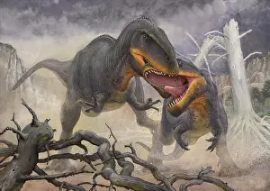 Dispute: A territorial dispute between a pair of Tyrannotitan