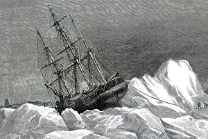 Nipped: TERROR IN THE ICE